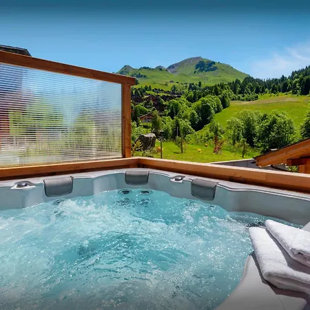 Trusquin - Ovo Network Chalet Le Grand-Bornand