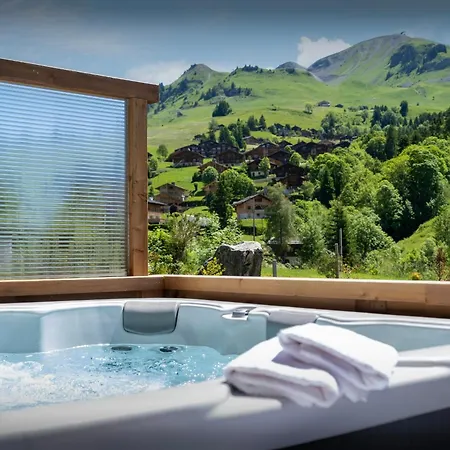 Chalet Trusquin - Ovo Network Le Grand-Bornand
